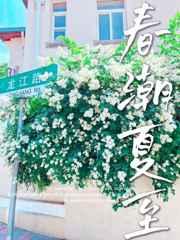 春潮夏至 春潮夏至