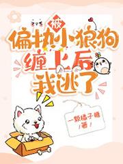 被偏执小狼狗缠上后我逃了 被偏执小狼狗缠上后我逃了