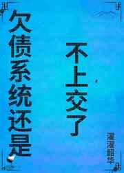 欠债系统还是不上交了 欠债系统还是不上交了