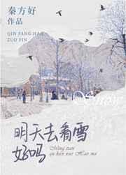 ����ȥ��ѩ����