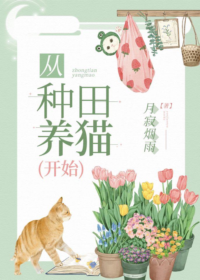 从种田养猫开始