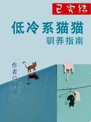 低冷系猫猫驯养指南 低冷系猫猫驯养指南