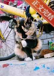 穿成影帝黑粉后我靠画画爆红了 穿成影帝黑粉后我靠画画爆红了