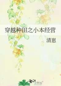 穿越种田之小本经营 穿越种田之小本经营