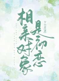相亲对象是初恋 相亲对象是初恋