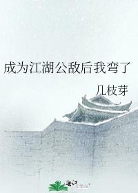 成为江湖公敌后我弯了 成为江湖公敌后我弯了