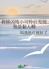 �����ײ�С��������������˾�