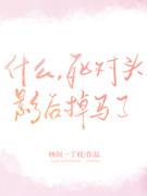 ʲô������ͷӰ������ˣ�