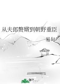 从夫郎赘婿到朝野重臣 从夫郎赘婿到朝野重臣