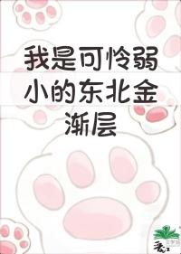 我是弱小的东北金渐层 我是弱小的东北金渐层