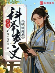 穿进科举爽文被迫内卷 穿进科举爽文被迫内卷