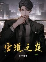 官道之巅 官道之巅