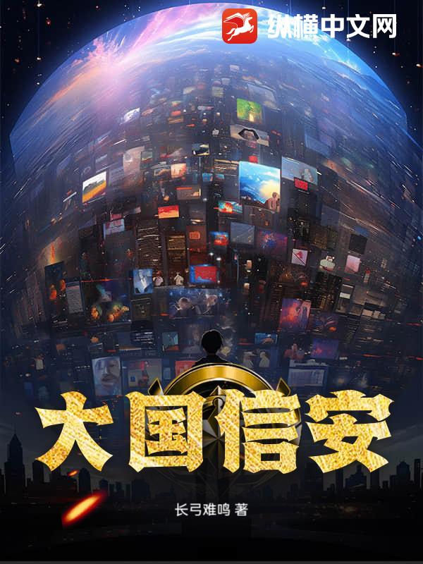 大国信安 大国信安