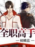 全职高手 全职高手