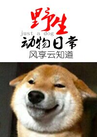 野生动物的日常 野生动物的日常