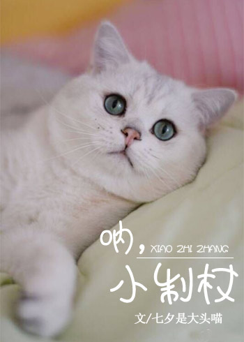 呐,小制杖 呐,小制杖
