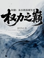 问鼎:从小镇选调生到权力之巅 问鼎:从小镇选调生到权力之巅