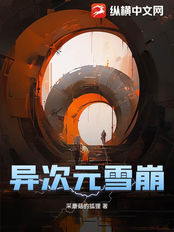 异次元雪崩 异次元雪崩