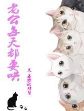 �Ϲ�ÿ�춼Ҫ�壨ȫ����