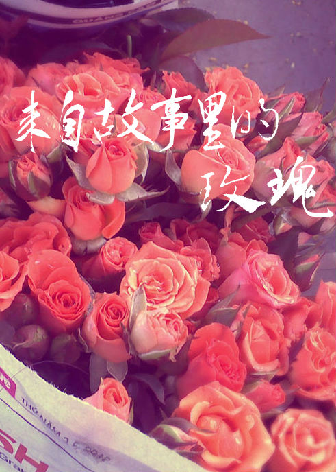 来自故事里的玫瑰 来自故事里的玫瑰