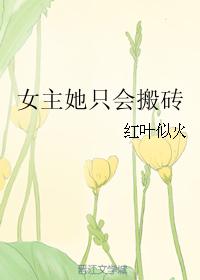女主她只会搬砖 女主她只会搬砖