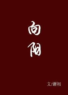 向阳 向阳