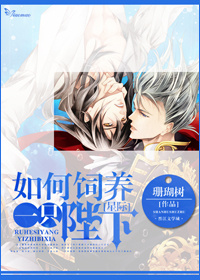 [�Ǽ�]�������һֻ����