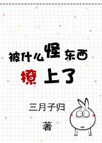 ��ʲô�ֶ���������