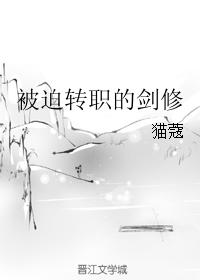 被迫转职的剑修 被迫转职的剑修