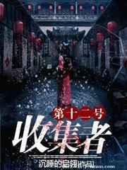 第十二号收集者 第十二号收集者