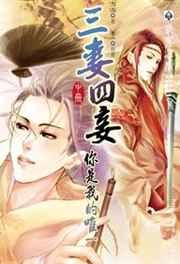 三妻四妾 三妻四妾