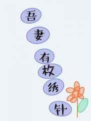 吾妻有枚绣花针东方不败是吾妻 吾妻有枚绣花针东方不败是吾妻