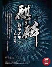 �����ս��֮��������棩