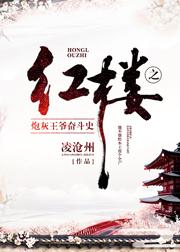 红楼之炮灰王爷奋斗史 红楼之炮灰王爷奋斗史