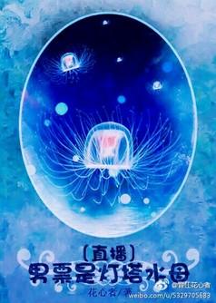 男票是灯塔水母